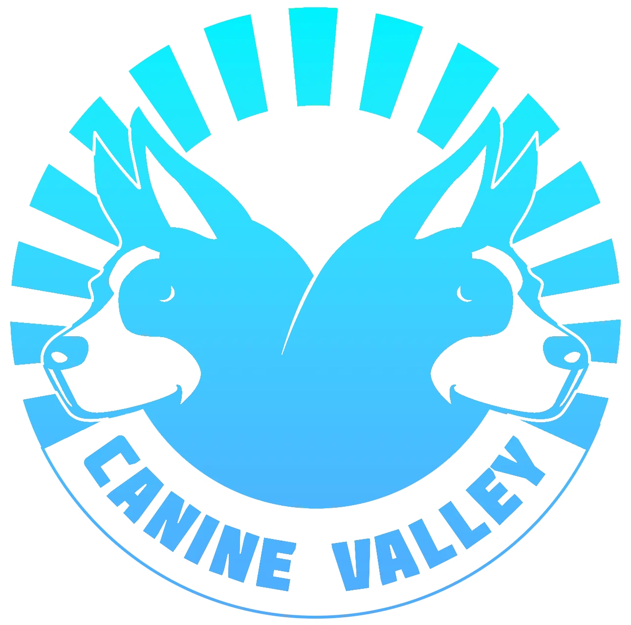 canine-valley