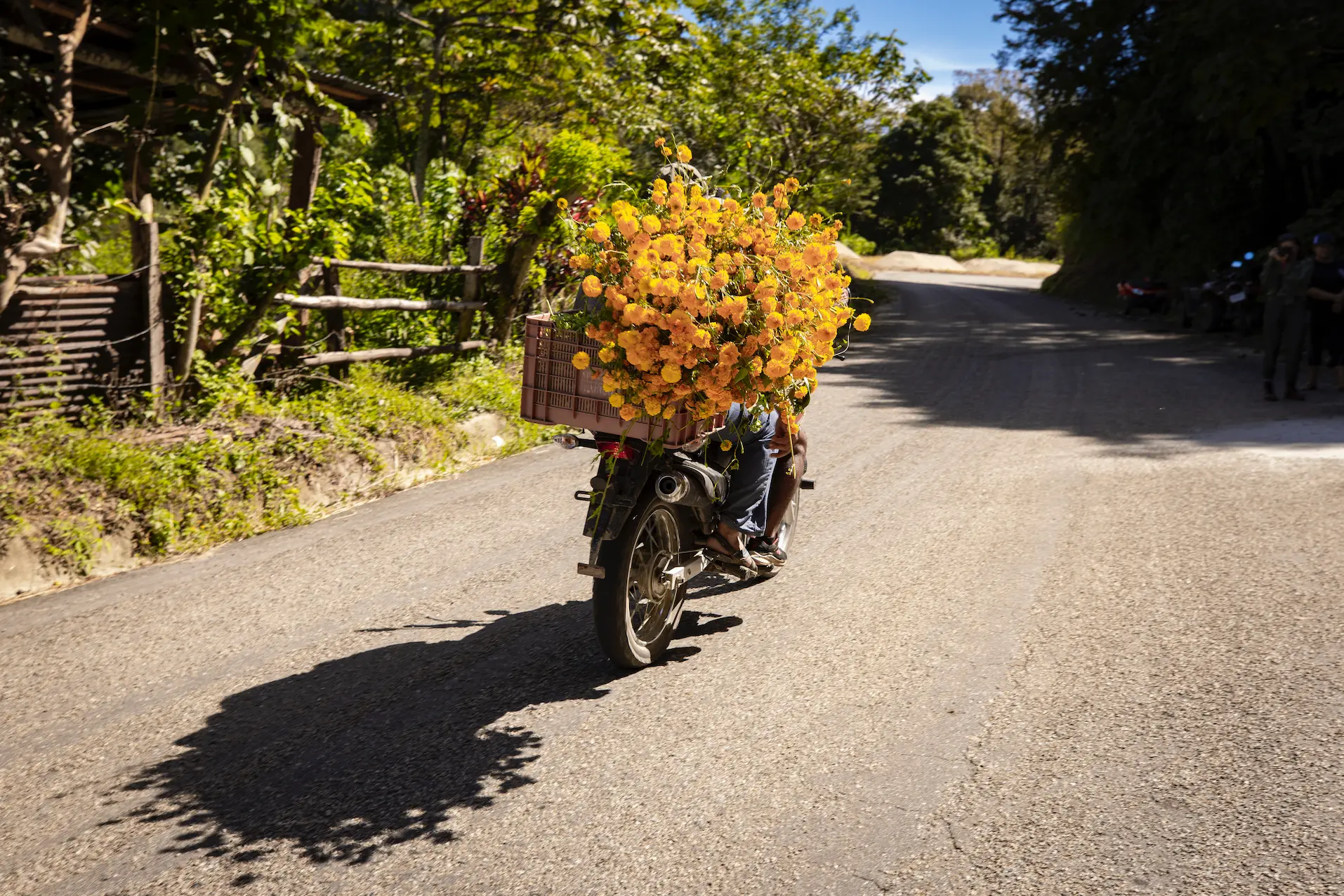 F12_FONDOPAZ_1025_CAMARONI_183