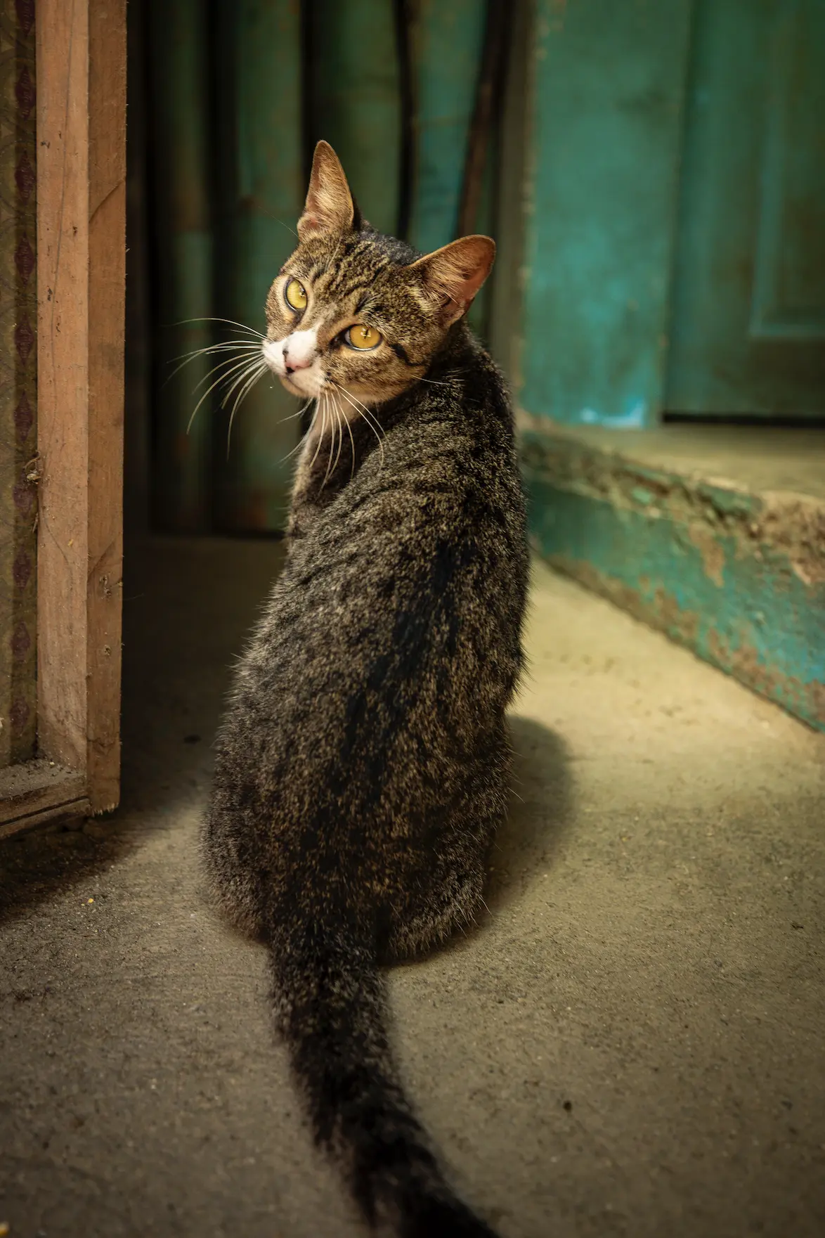 F12_FONDOPAZ_1025_CAMARONI_190