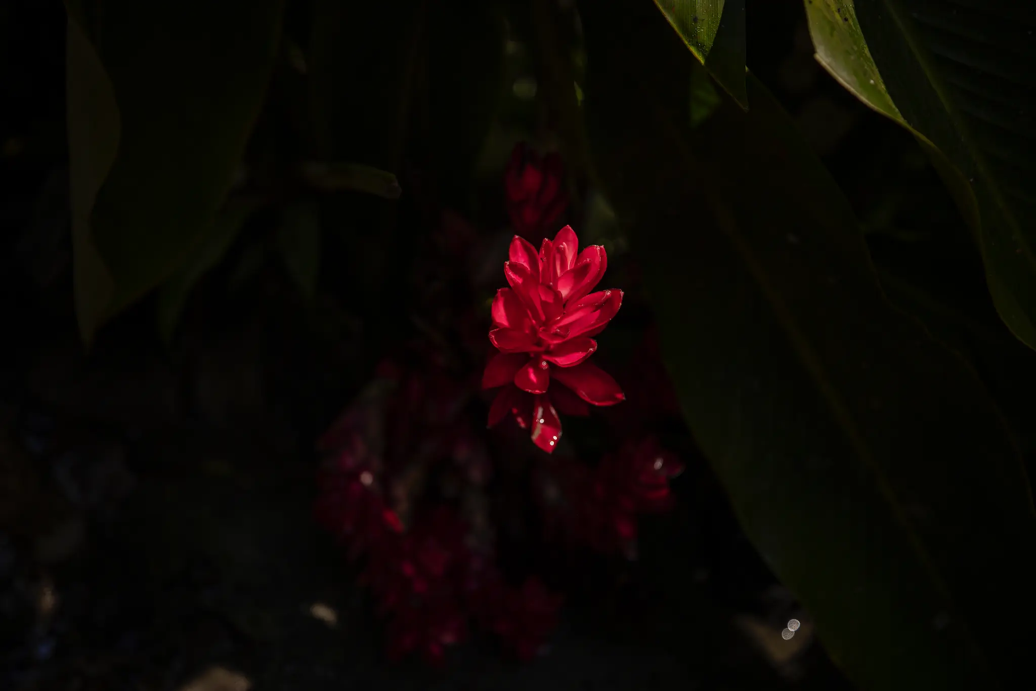 F12_FONDOPAZ_1025_CAMARONI_199