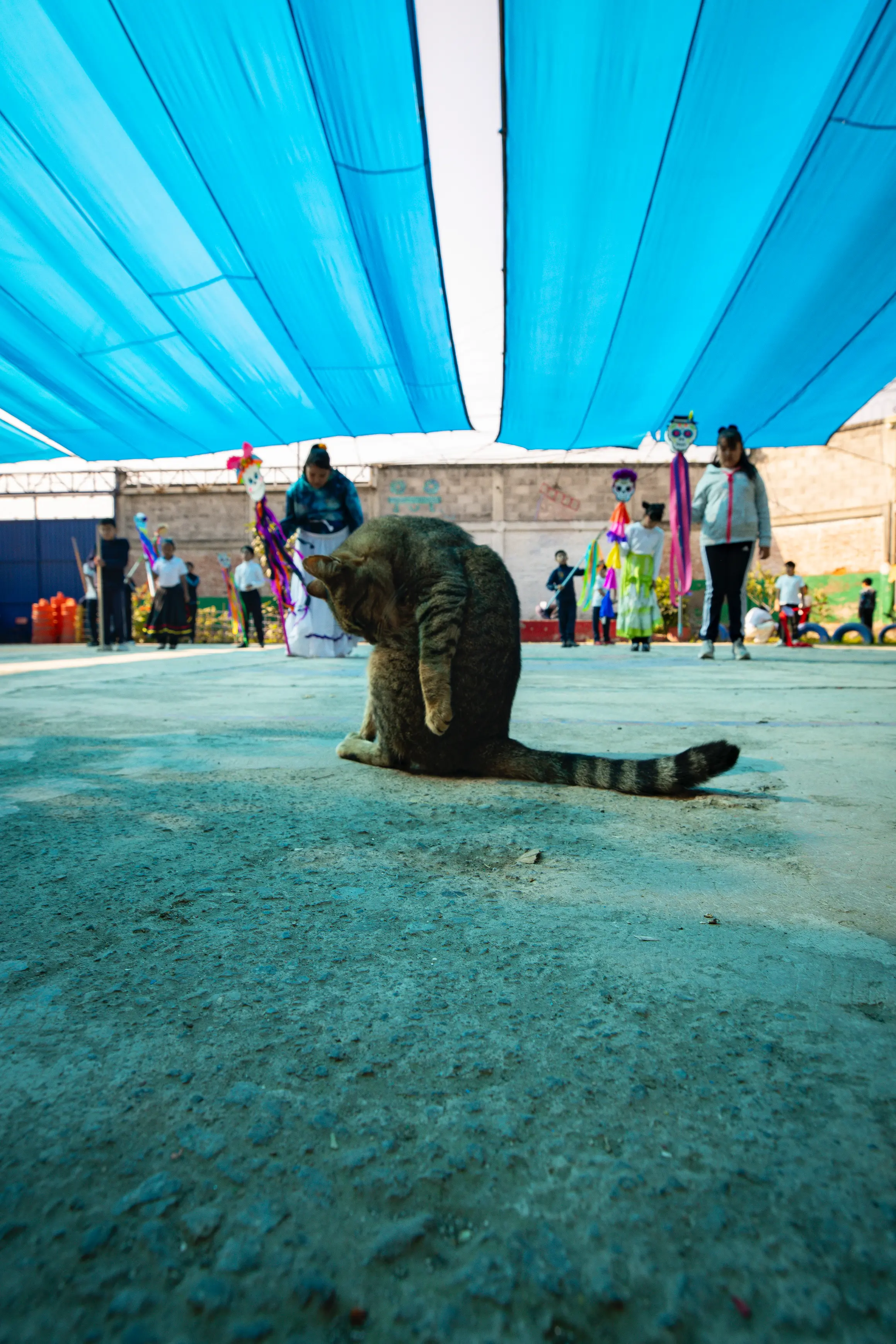 F12_NOBLESTERCIOS_1025_CAMARONI_29