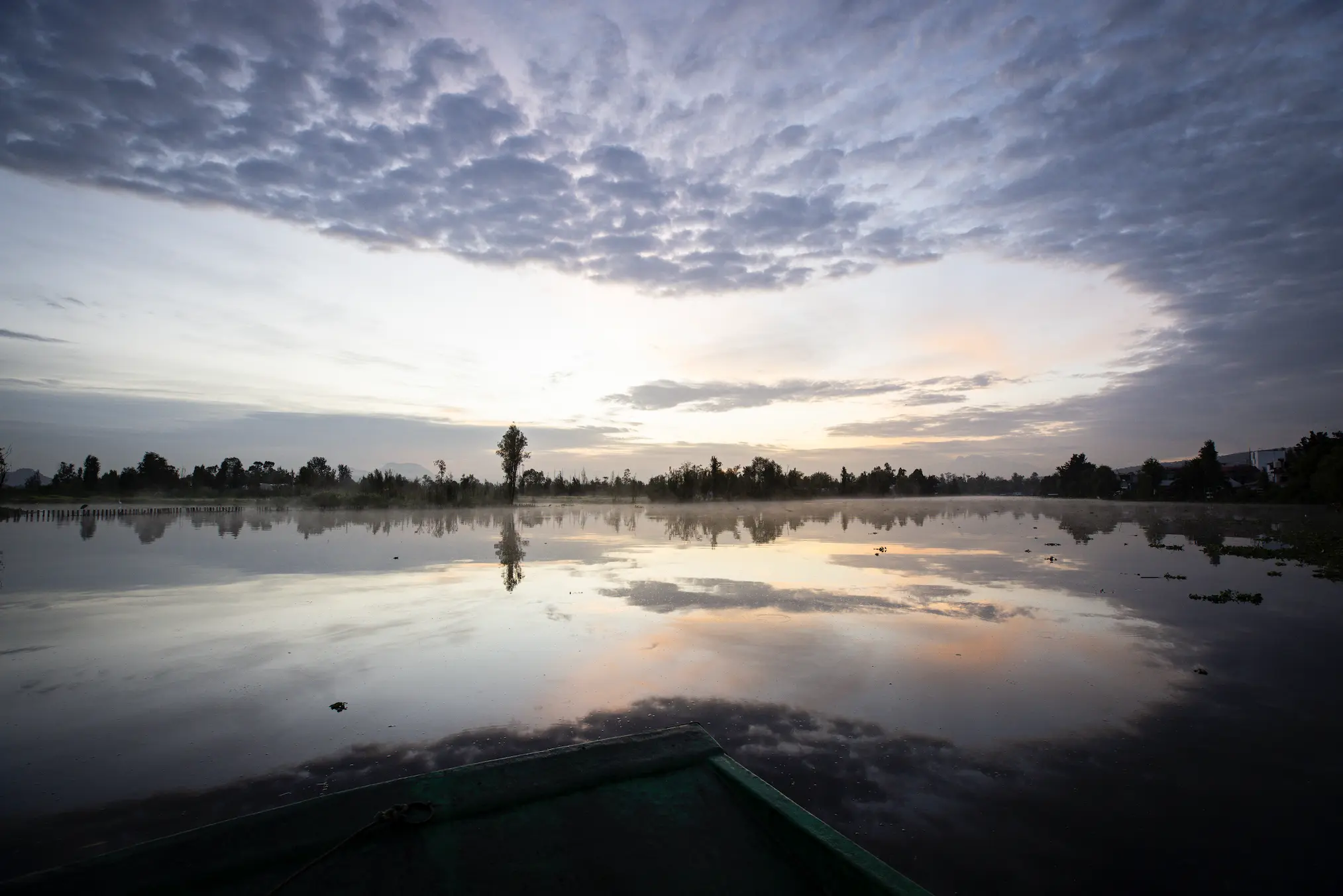 ISLA_SUMPROG25_CAMARONI_171