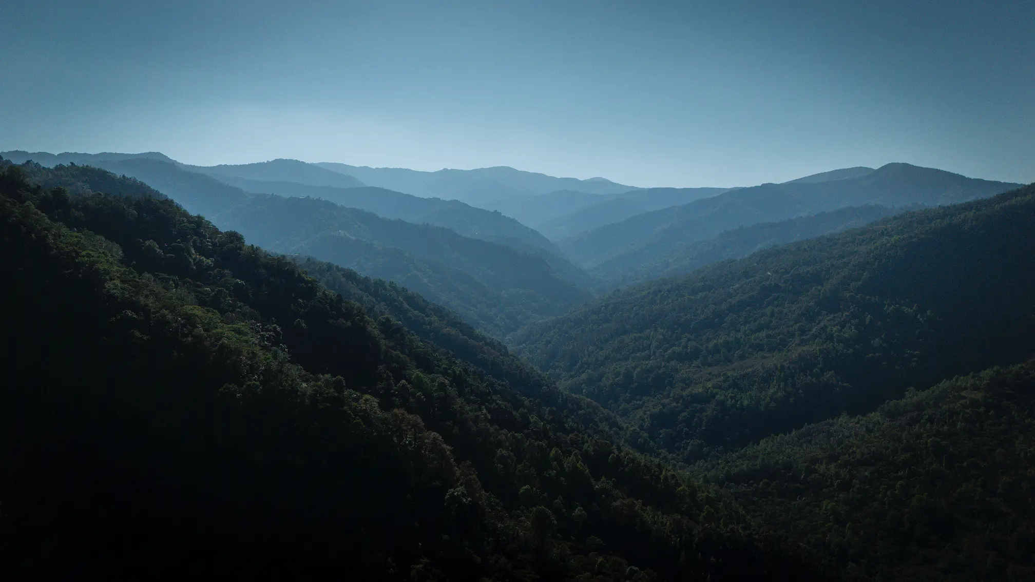 IUUSA-MAZATECA_0325_CAMARONI_290