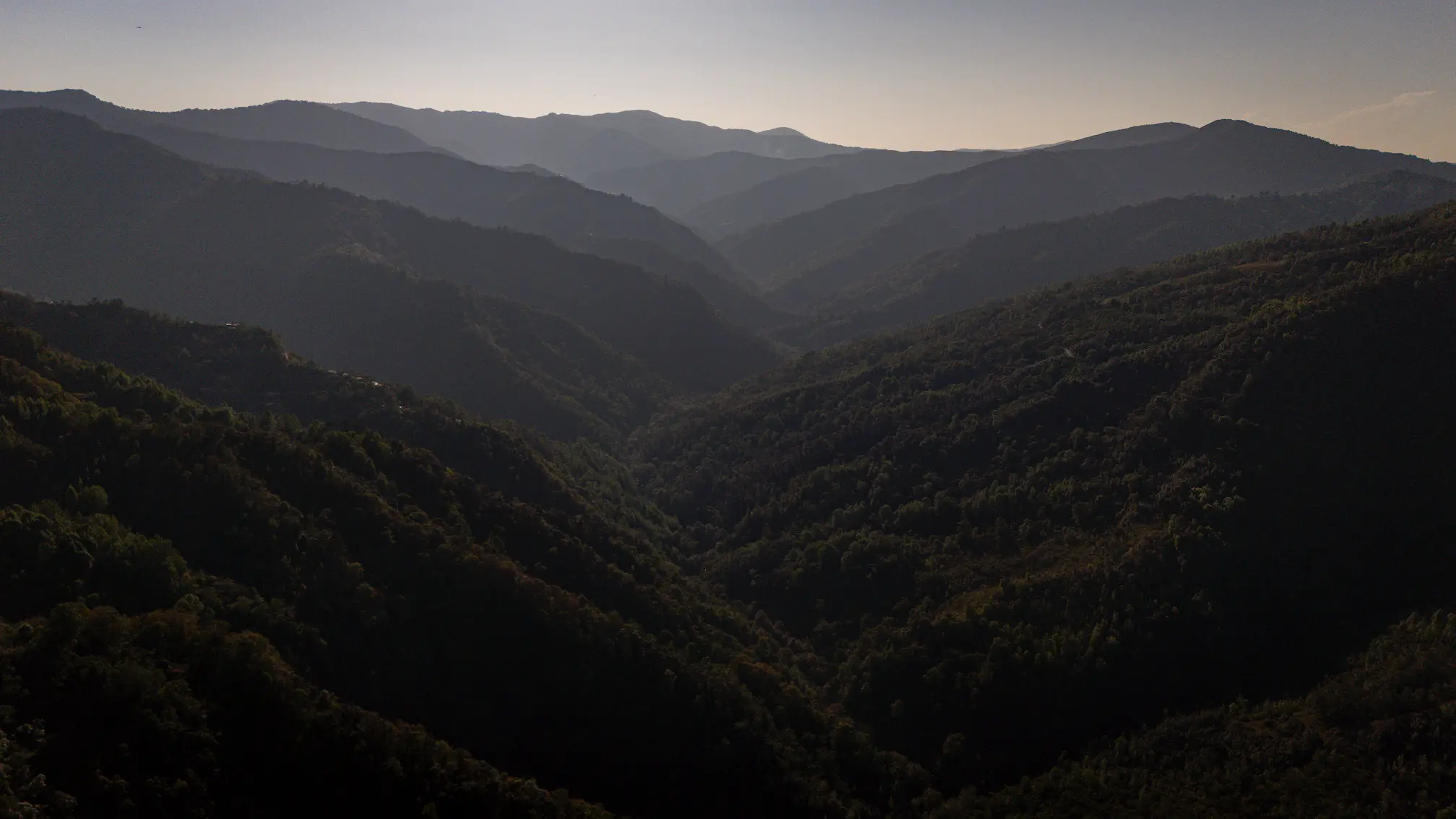 IUUSA-MAZATECA_0325_CAMARONI_296