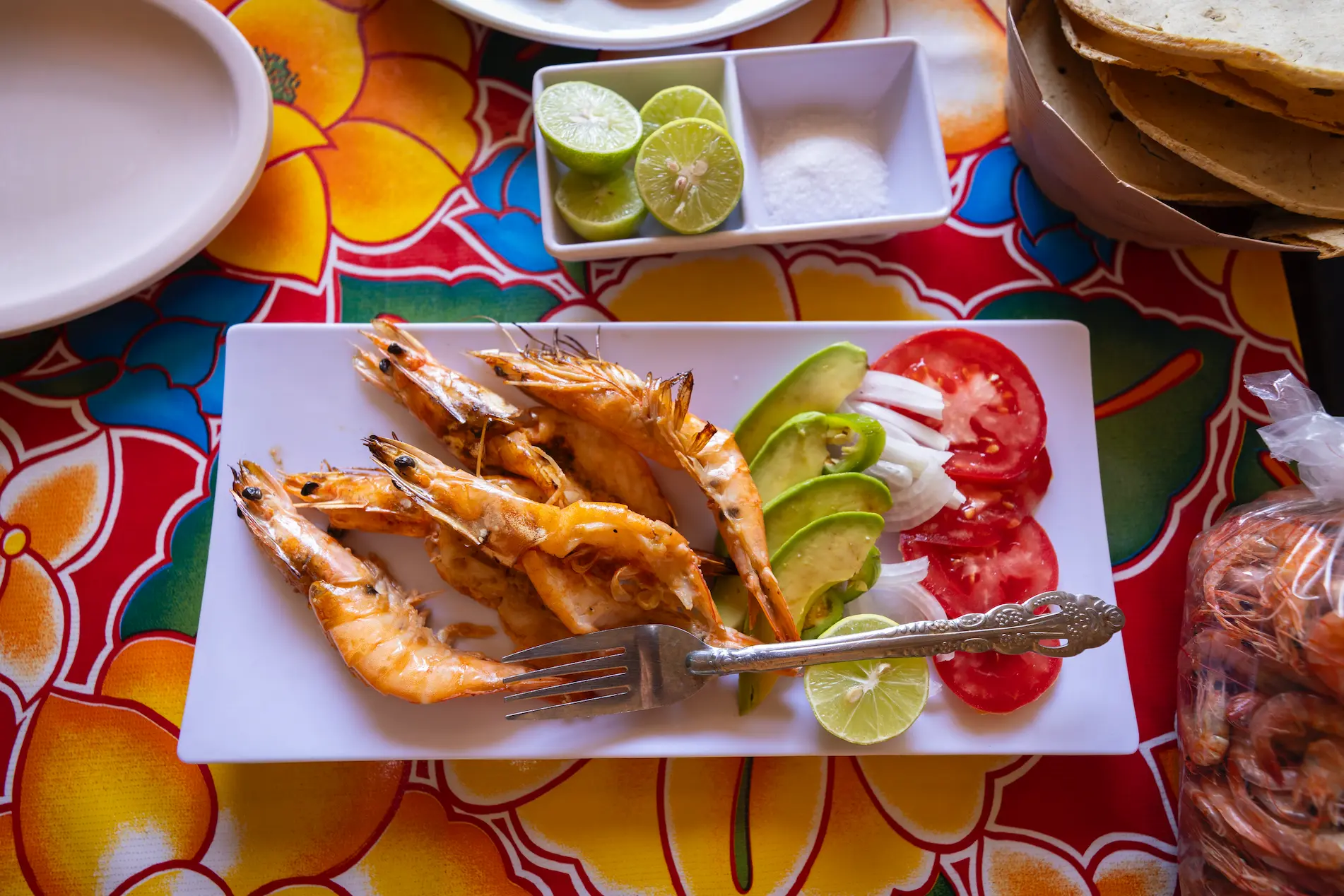 ONUm_API24-Rosalia-17