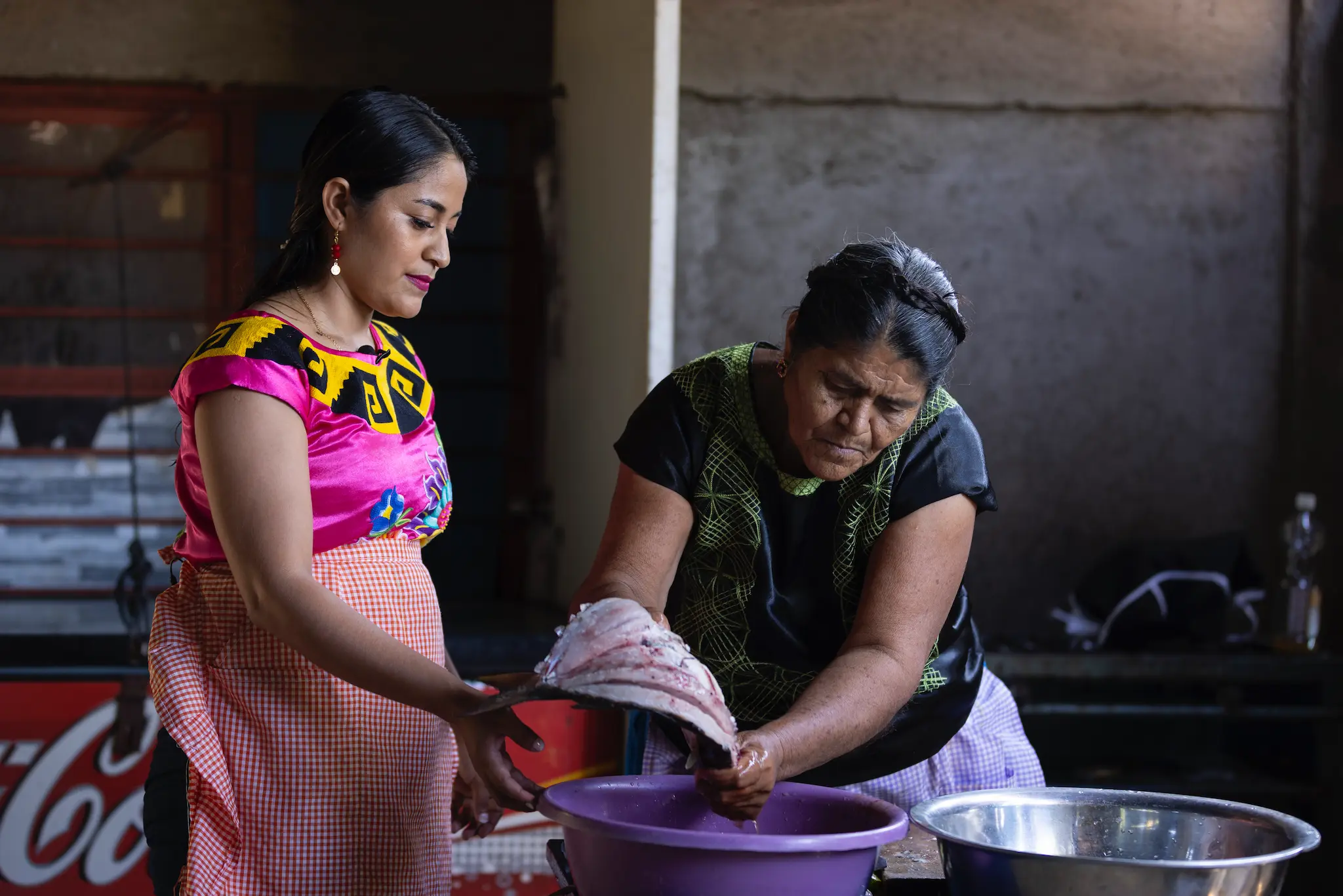 ONUm_API24-Rosalia-2