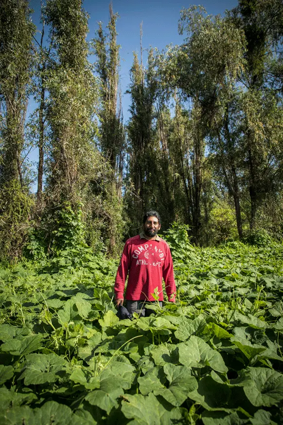 Ahuejote_Pedro2020_8