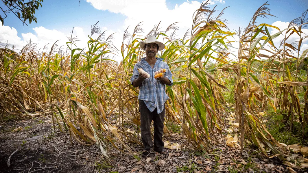 2_DonDomingo_IRRI_MAYO21_88