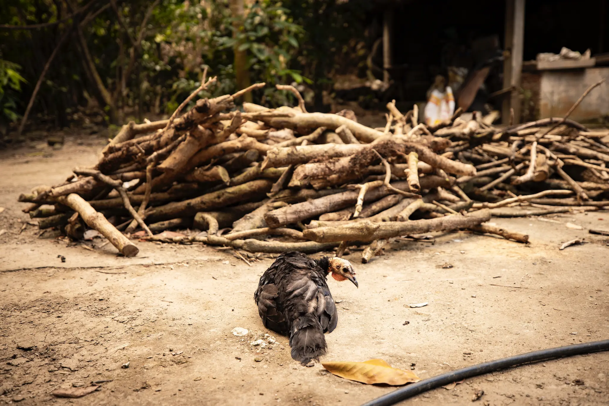 F12_FONDOPAZ_1025_CAMARONI_172