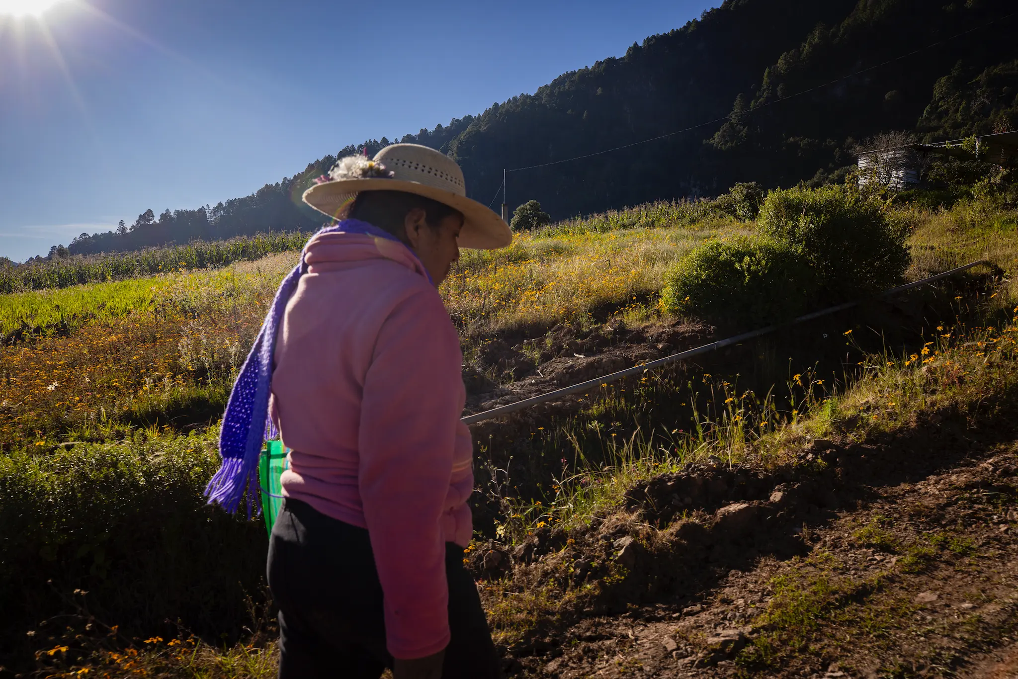 F12_FONDOPAZ_1025_CAMARONI_36